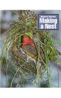 Making a Nest (Natures Secrets) (9780817248932) by Bennett, Paul