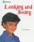 Imagen de archivo de Looking and Seeing a la venta por Better World Books