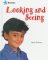 Stock image for Looking and Seeing for sale by Better World Books