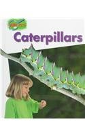 9780817255855: Caterpillars (Minipets)