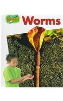 Worms (Minipets) (9780817255886) by Greenaway, Theresa