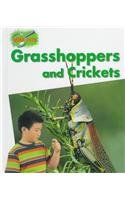 Imagen de archivo de Grasshoppers and Crickets a la venta por Better World Books