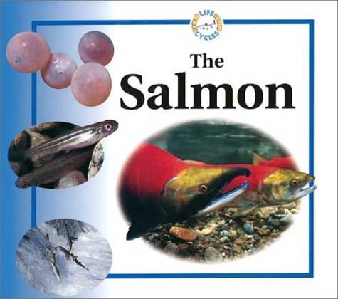 Imagen de archivo de The Salmon (Life Cycles) a la venta por SecondSale