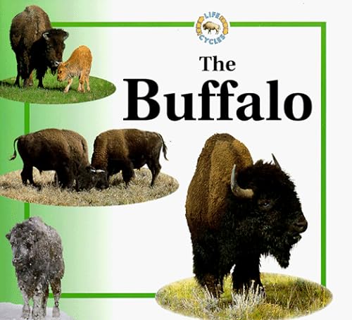 Stock image for The Buffalo (Life Cycles Series) for sale by SecondSale