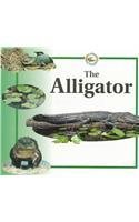 Imagen de archivo de The Alligator (Life Cycles) a la venta por Goodwill of Colorado