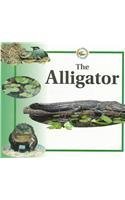 The Alligator (Life Cycles) (9780817262457) by Sabrina Crewe