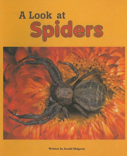 Beispielbild fr A Look at Spiders zum Verkauf von Better World Books