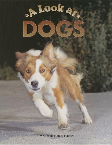 Beispielbild fr Steck-Vaughn Pair-It Books Early Fluency Stage 3: Student Reader Look At Dogs, A , Story Book zum Verkauf von Wonder Book