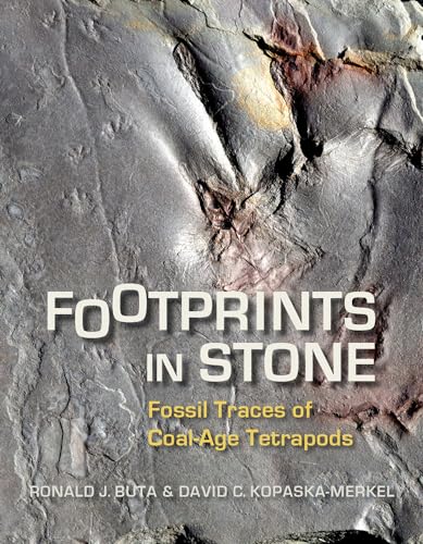 Stock image for Footprints in Stone: Fossil Traces of Coal-Age Tetrapods for sale by ThriftBooks-Dallas