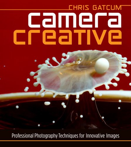 Beispielbild fr Camera Creative : Professional Photography Techniques for Innovative Images zum Verkauf von Better World Books