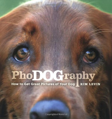 Stock image for PhoDOGraphy: How to Get Great Pictures of Your Dog for sale by Ergodebooks