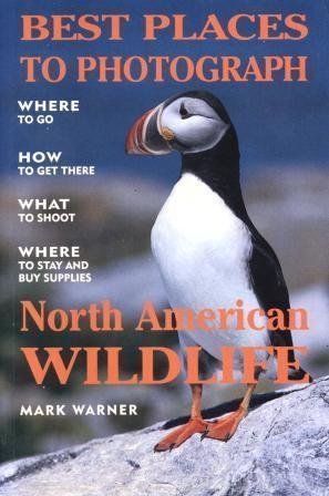 Imagen de archivo de Best Places to Photograph North American Wildlife/Where to Go, How to Get There,What to Shoot, Where to Say and Buy Supplies a la venta por Lowry's Books