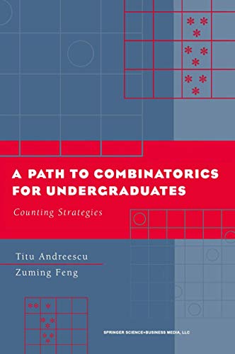 Imagen de archivo de A Path to Combinatorics for Undergraduates: Counting Strategies a la venta por SecondSale