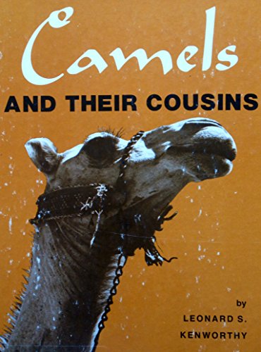 Camels and their Cousins