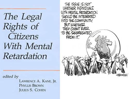 Beispielbild fr The Legal Rights of Citizens with Mental Retardation zum Verkauf von HPB-Red