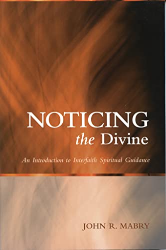 Stock image for Noticing the Divine: An Introduction to Interfaith Spiritual Guidance (Spiritual Directors International Books) for sale by HPB-Diamond