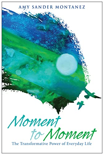 Stock image for Moment to Moment: The Transformative Power of Everyday Life for sale by BooksRun