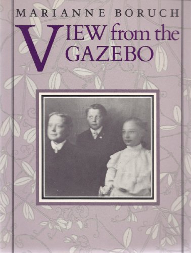 Stock image for View from the Gazebo (Wesleyan New Poets) for sale by Half Price Books Inc.