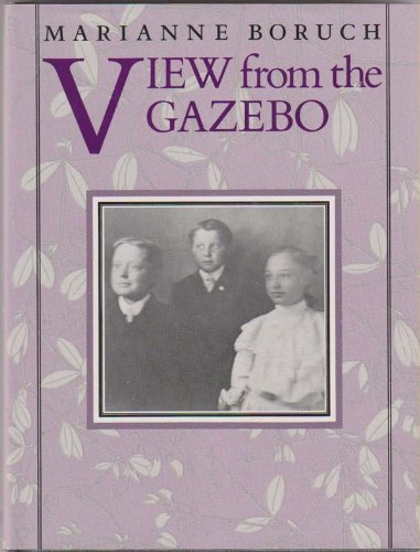 Stock image for View from the Gazebo (Wesleyan New Poets) for sale by HPB-Ruby