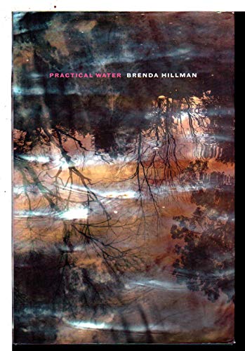 Practical Water (Wesleyan Poetry Series) (9780819569318) by Hillman, Brenda