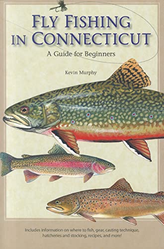 Beispielbild fr Fly Fishing in Connecticut: A Guide for Beginners (Garnet Books) zum Verkauf von BooksRun