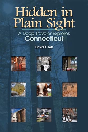 Stock image for Hidden in Plain Sight: A Deep Traveler Explores Connecticut (Garnet Books) for sale by Books Unplugged