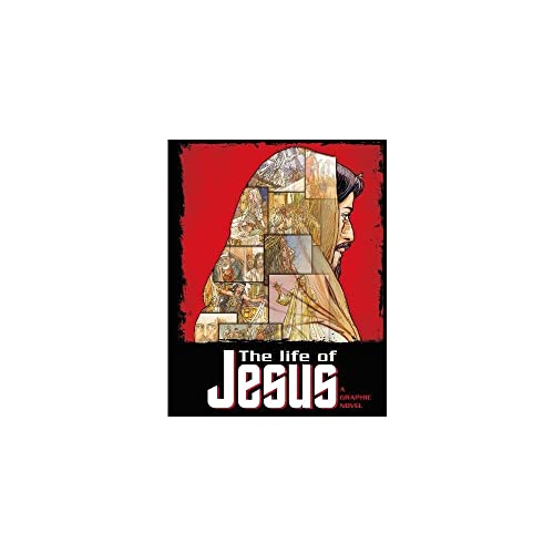 Beispielbild fr The Life of Jesus: A Graphic Novel zum Verkauf von ZBK Books