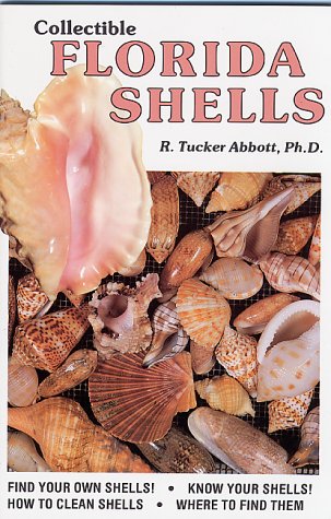 Stock image for Collectible Florida Shells for sale by Jenson Books Inc