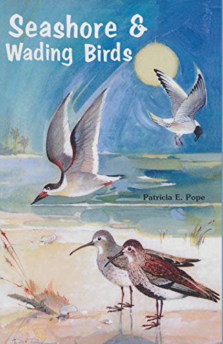 Beispielbild fr Seashore and Wading Birds of Florida zum Verkauf von PBShop.store US
