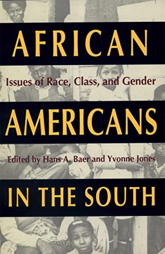 Beispielbild fr African Americans in the South: Issues of Race, Class and Gender zum Verkauf von Prairie Archives