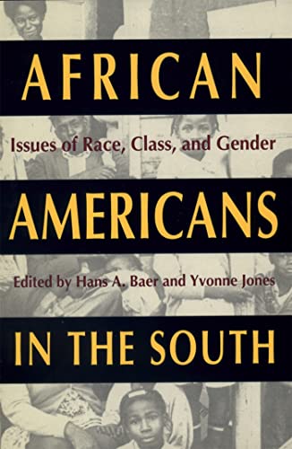 Stock image for African Americans in the South : Issues of Race, Class and Gender for sale by Better World Books