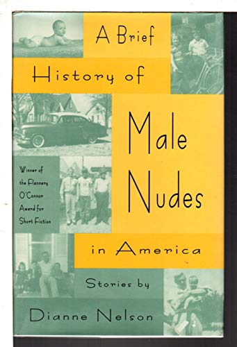 Beispielbild fr A Brief History of Male Nudes in America: Stories zum Verkauf von Robinson Street Books, IOBA