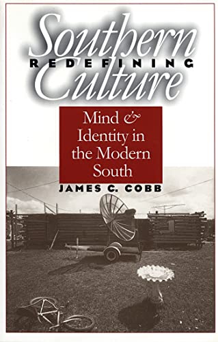 9780820321394: Redefining Southern Culture: Mind and Identity in the Modern South