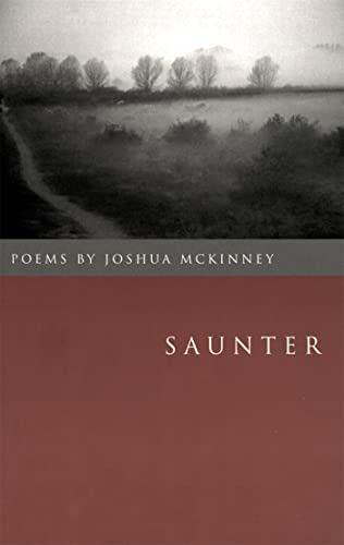 Stock image for Saunter: Poems (The Contemporary Poetry Ser.) for sale by Good Buy 2 You LLC