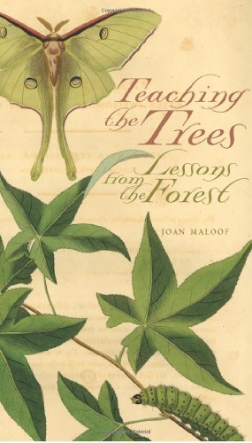 Beispielbild fr Teaching The Trees: Lessons From The Forest zum Verkauf von Books of the Smoky Mountains