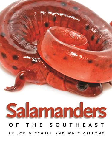 Beispielbild fr Salamanders of the Southeast zum Verkauf von Blackwell's