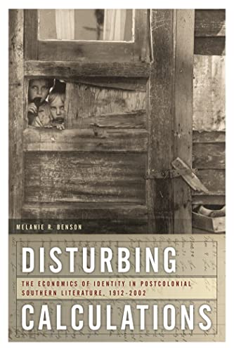 9780820331126: Disturbing Calculations: The Economics of Identity in Postcolonial Southern Literature, 1912-2002