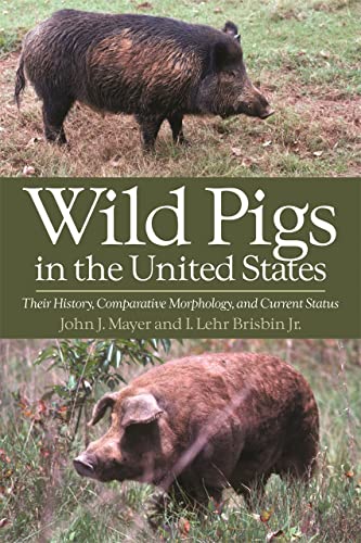 9780820331379: Wild Pigs in the United States: Their History, Comparative Morphology, and Current Status