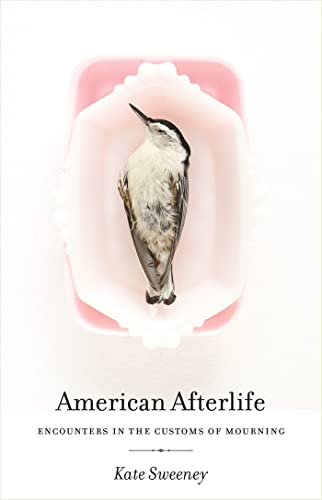 9780820346007: American Afterlife: Encounters in the Customs of Mourning