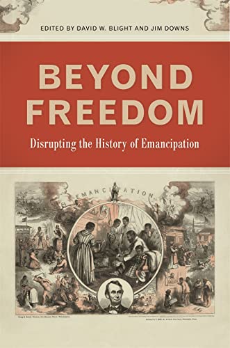Beispielbild fr Beyond Freedom Disrupting the History of Emancipation zum Verkauf von Michener & Rutledge Booksellers, Inc.