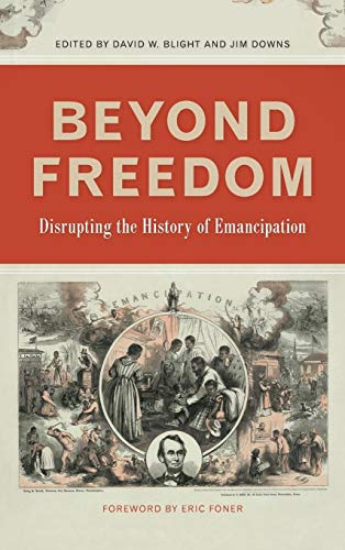 Stock image for Beyond Freedom Disrupting the History of Emancipation for sale by Michener & Rutledge Booksellers, Inc.