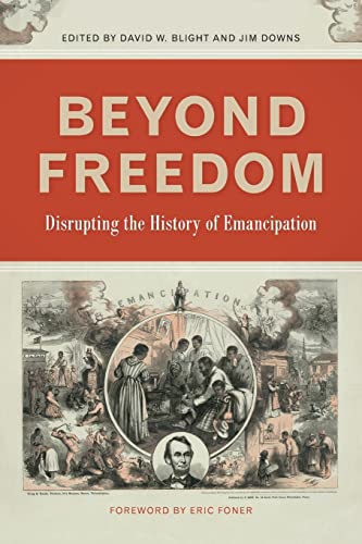 Stock image for Beyond Freedom: Disrupting the History of Emancipation for sale by ThriftBooks-Dallas