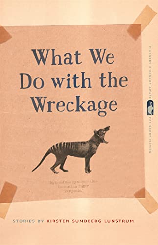 Stock image for What We Do With the Wreckage for sale by Revaluation Books