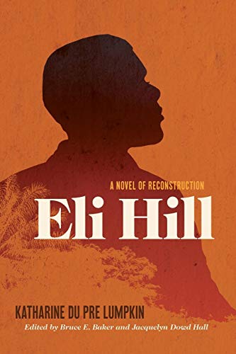 Imagen de archivo de Eli Hill: A Novel of Reconstruction a la venta por SecondSale