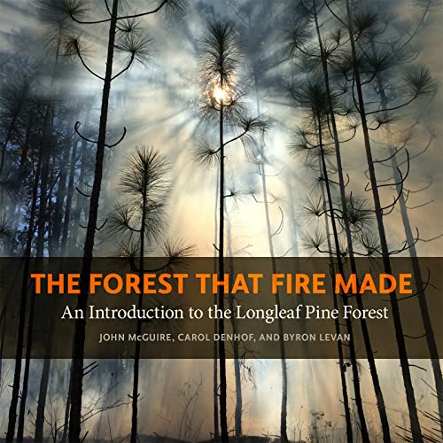 Imagen de archivo de The Forest That Fire Made: An Introduction to the Longleaf Pine Forest (Wormsloe Foundation Nature Books) a la venta por BooksRun