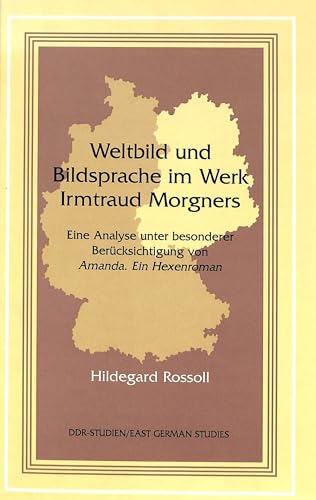 Weltbild und Bildsprache im Werk Irmtraud Morgners: Eine Analyse unter besonderer Berücksichtigung von Amanda. Ein Hexenroman. - Rossoll, Hildegard