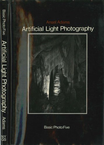 Imagen de archivo de Basic Photo, Vol. 5: Artificial Light Photography a la venta por Half Price Books Inc.