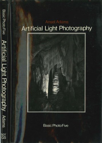 Stock image for Basic Photo, Vol. 5: Artificial Light Photography for sale by Half Price Books Inc.