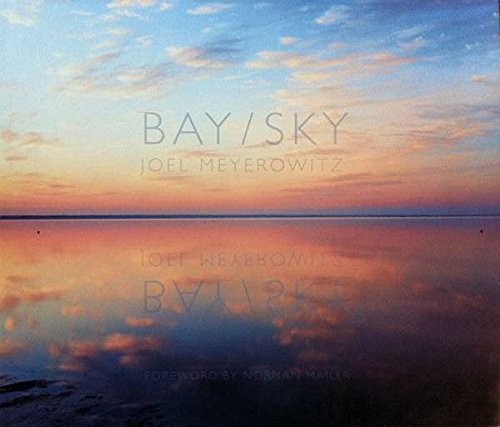 Beispielbild fr Bay/Sky zum Verkauf von SecondSale