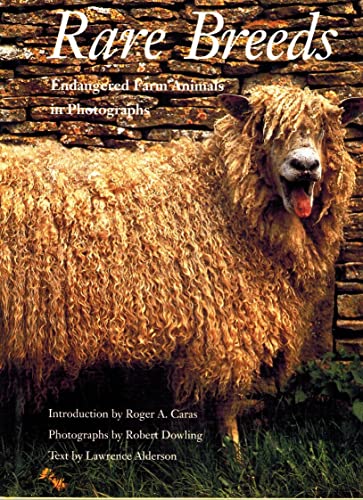 Stock image for Rare Breeds for sale by Roundabout Books